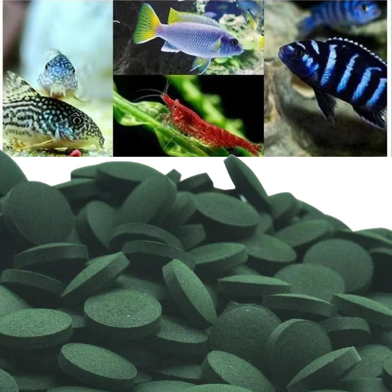 Spirulina Tablet Organic - 50/100/300/500 adet Spirulina Tabletleri Spiral Deniz