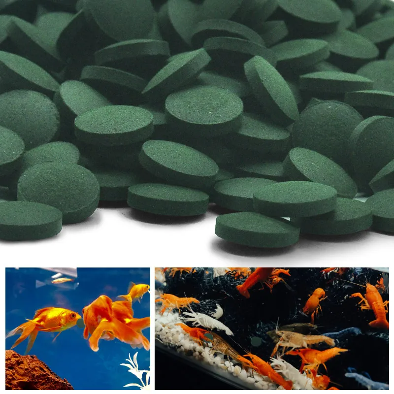 100 adet Yüksek Saflıkta Spiru - Spirulina Tablet Organic incelemesi ve fiyatı